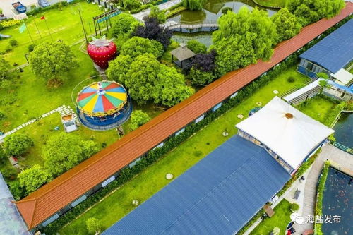 美海鹽鄉村旅游精品線榮登省級榜單，繪就詩畫田園新篇章