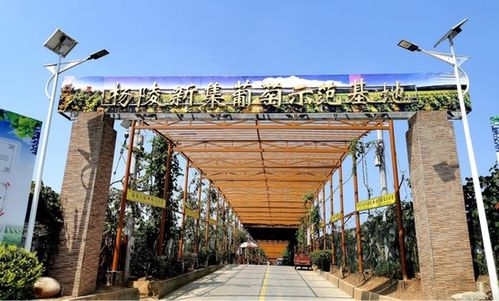 陜西發布21條秋季鄉村休閑旅游精品線路，邀您盡享秋日田園風光