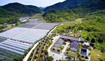 上虞五處田園榮登浙江最美榜單，鄉村旅游線路煥發新魅力