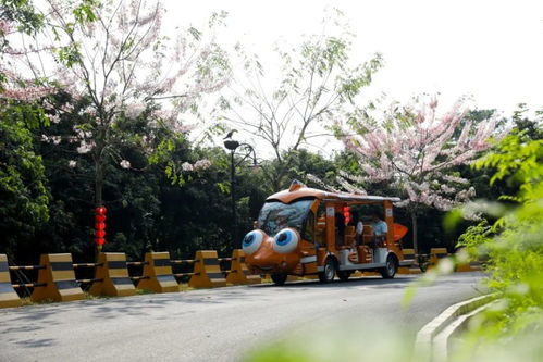 增城入選第三批廣東省文化和旅游特色村，鄉村旅游精品線路全新出爐